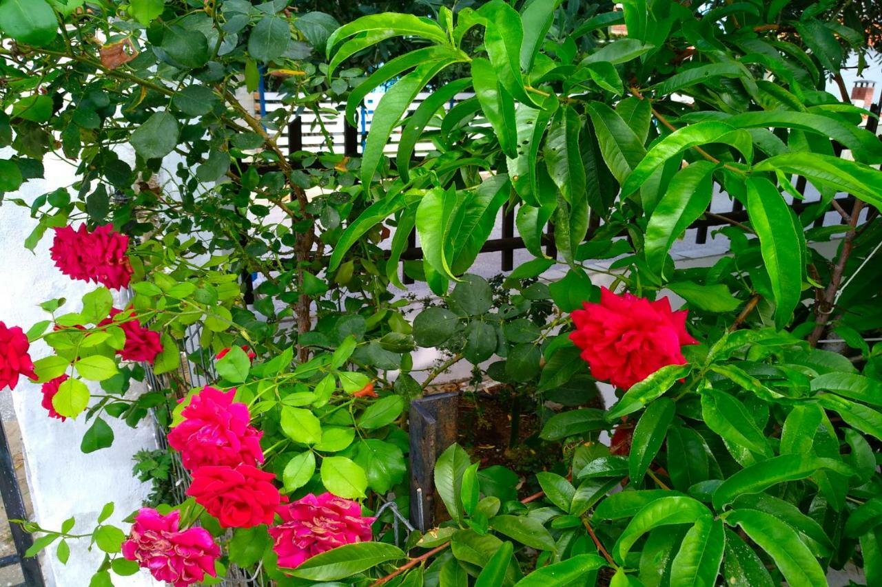 Our Parent'S House. Family House For Rent Villa Skala Kallirakhis Luaran gambar