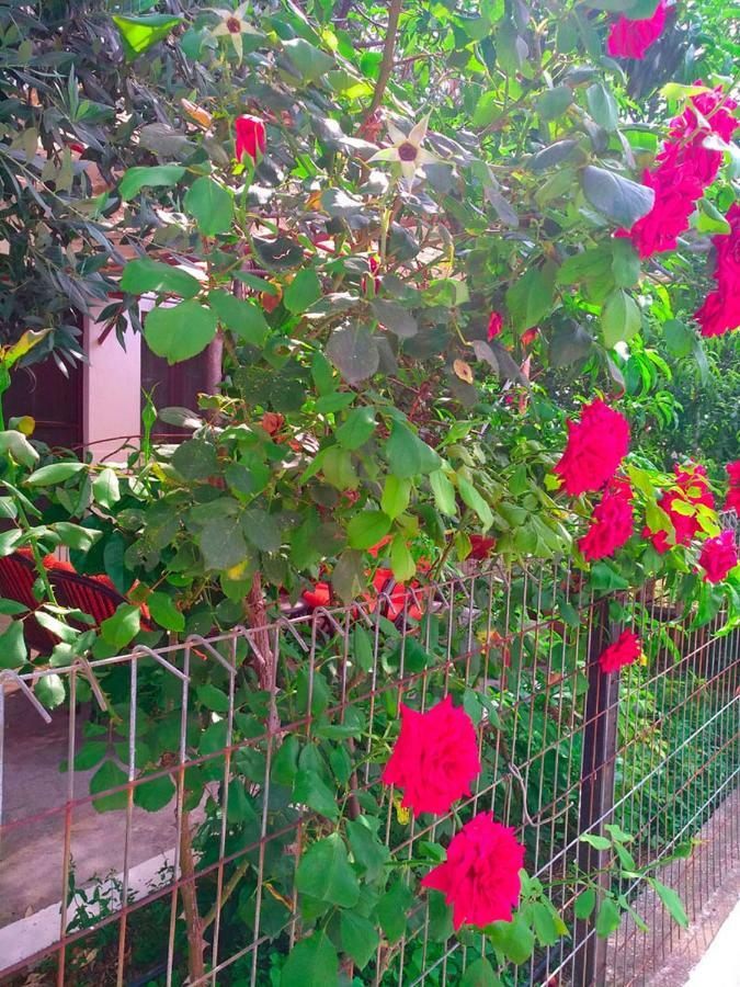 Our Parent'S House. Family House For Rent Villa Skala Kallirakhis Luaran gambar